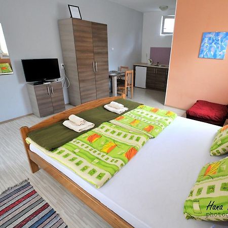 Apartments Svetlica Backi Petrovac Εξωτερικό φωτογραφία