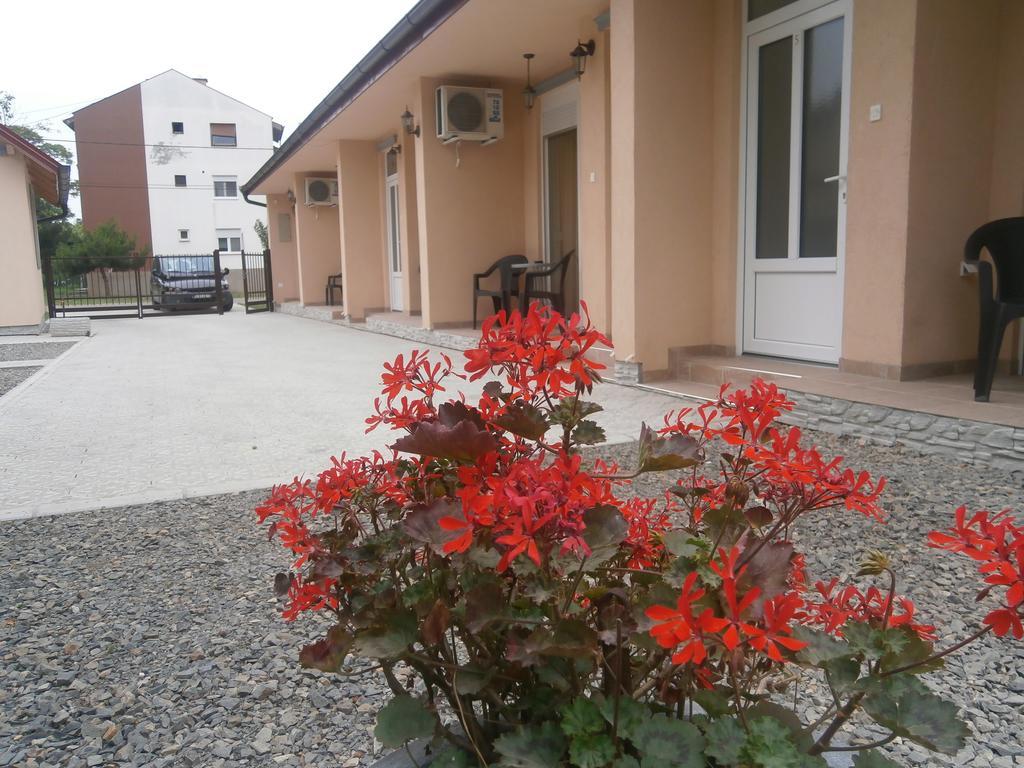 Apartments Svetlica Backi Petrovac Εξωτερικό φωτογραφία