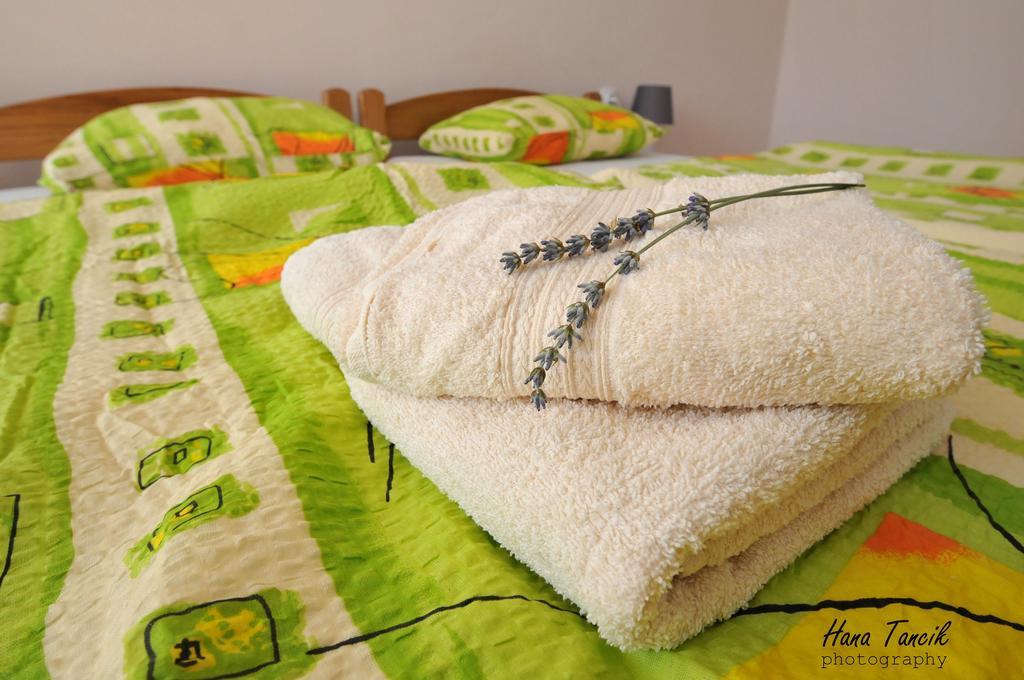 Apartments Svetlica Backi Petrovac Εξωτερικό φωτογραφία