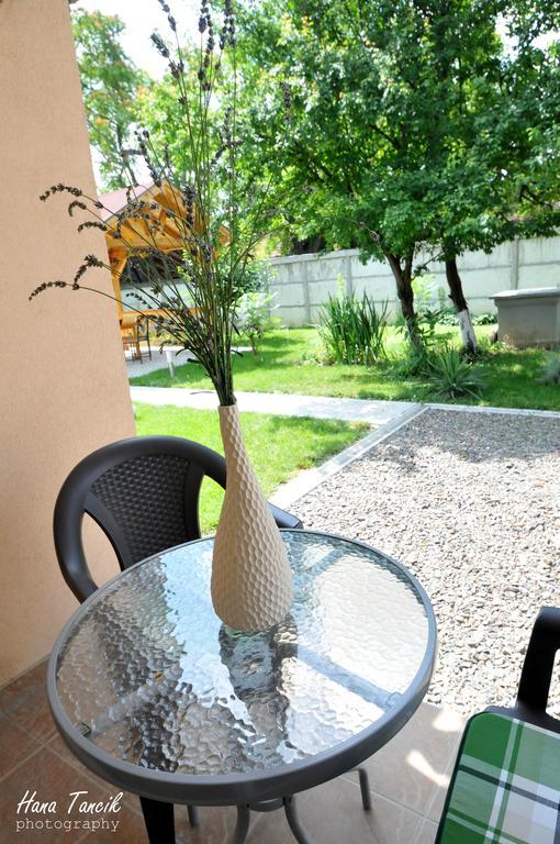 Apartments Svetlica Backi Petrovac Εξωτερικό φωτογραφία